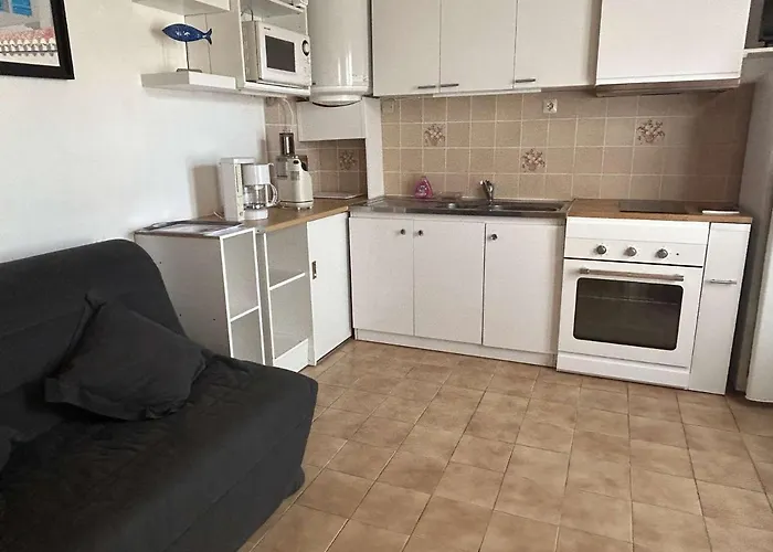 Ferienhaus Maison Cosy 2 Pieces, Et Centre A 300m, Terrasse, Tv, Animaux Permis - - Fr-1-224b-192 *